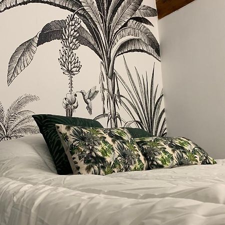 Appartement Cosy Centre Historique Αβινιόν Εξωτερικό φωτογραφία