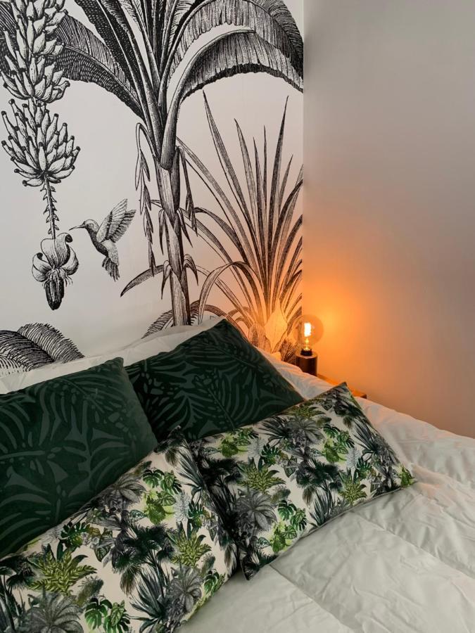 Appartement Cosy Centre Historique Αβινιόν Εξωτερικό φωτογραφία