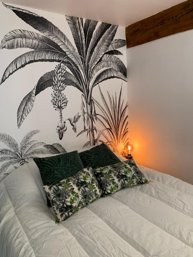 Appartement Cosy Centre Historique Αβινιόν Εξωτερικό φωτογραφία