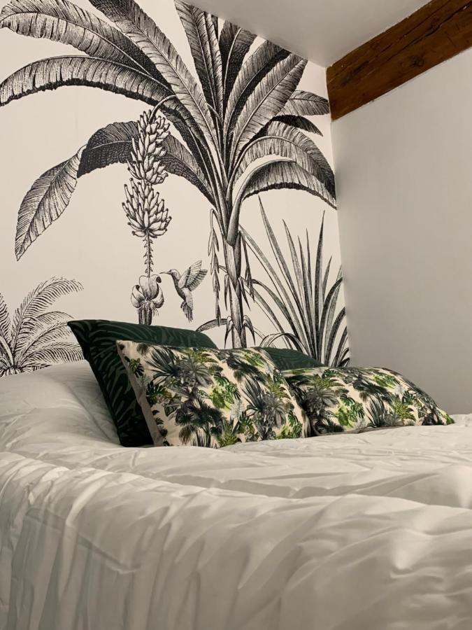 Appartement Cosy Centre Historique Αβινιόν Εξωτερικό φωτογραφία